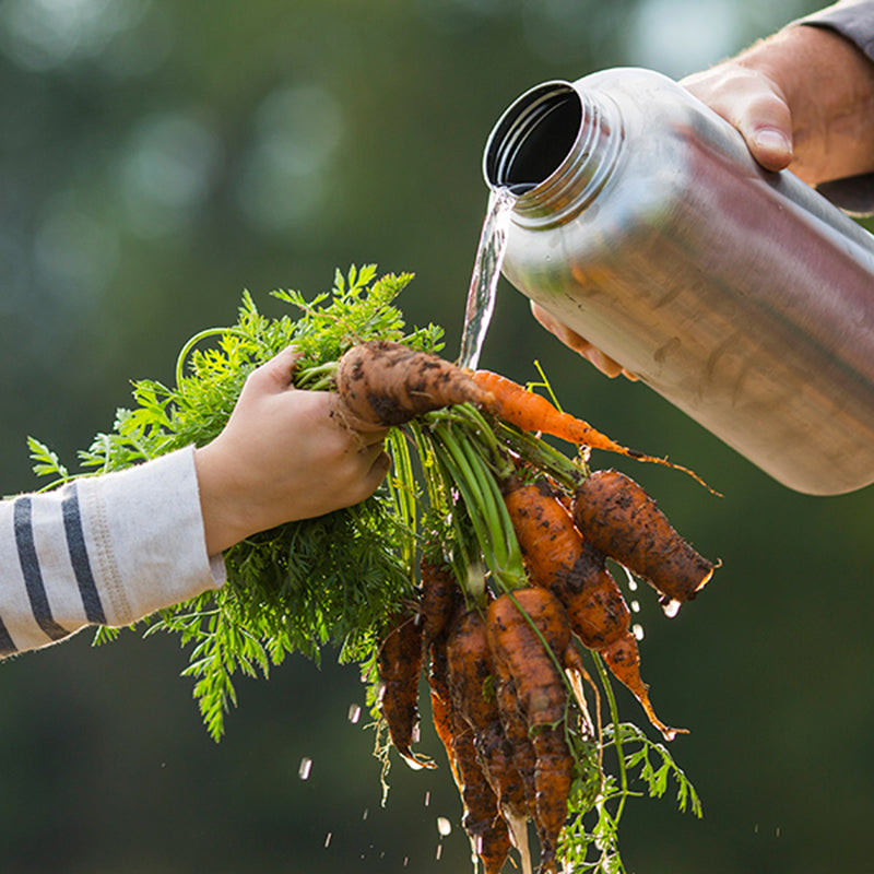 64oz-wide-with-loop-cap-s0 64oz_wide_mouth_bottle_carrots_rinse_square.jpg